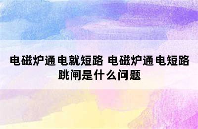 电磁炉通电就短路 电磁炉通电短路跳闸是什么问题